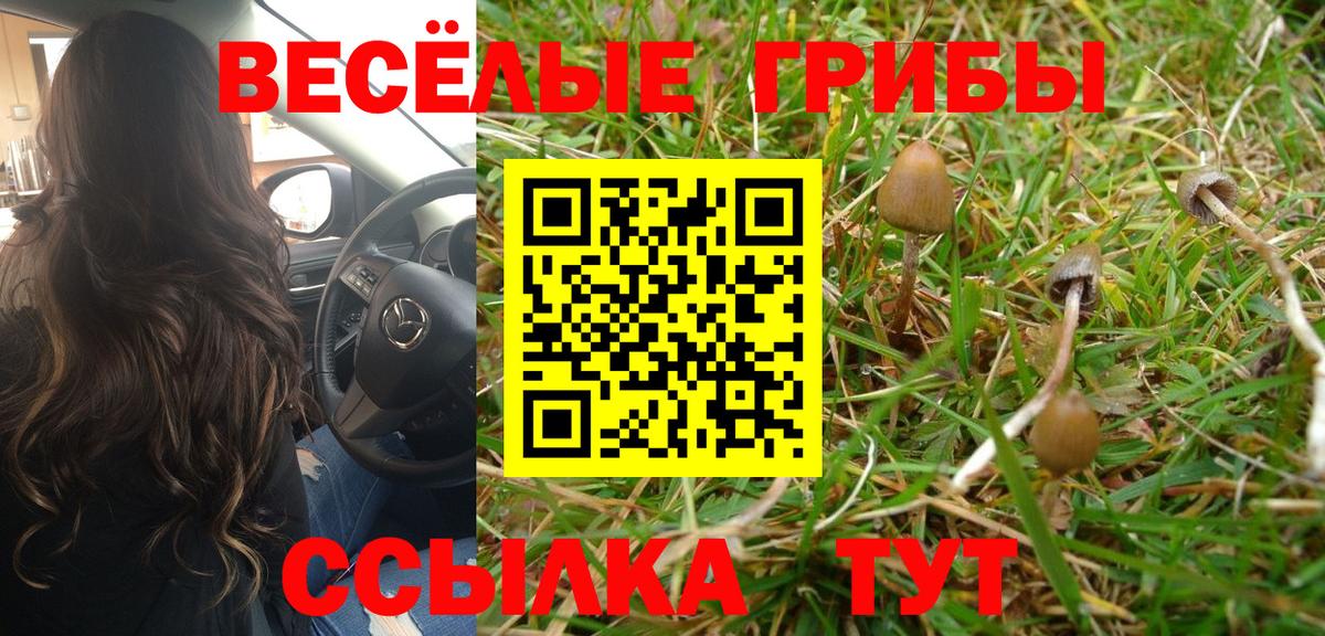 Галлюциногенные грибы GOLDEN TEACHER Новомосковск