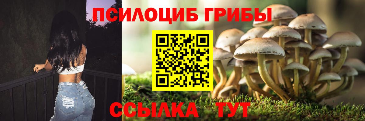 Псилоцибиновые грибы Cubensis  Псилоцибиновые грибы MAGIC MUSHROOMS  Новомосковск  Вход с VPN 